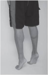 Toe Raises
